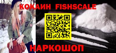 тгк Бийск