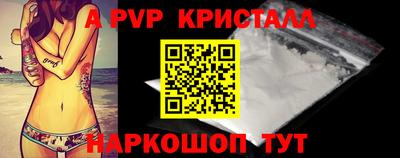 тгк Бийск