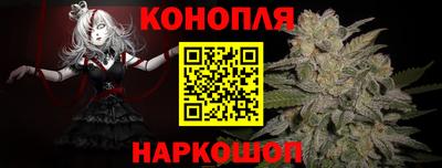 прущие крисы Апшеронск