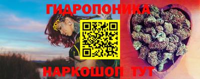 тгк Бийск