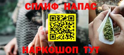 тгк Бийск