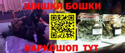 тгк Бийск