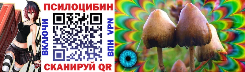 Галлюциногенные грибы GOLDEN TEACHER  мега зеркало  Елец 