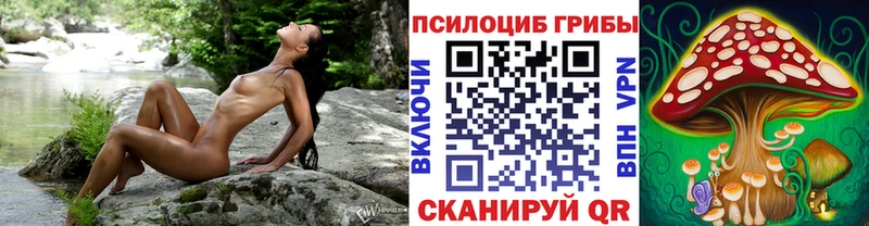 Псилоцибиновые грибы Magic Shrooms Елец