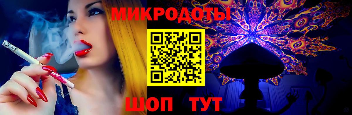 Галлюциногенные грибы Psilocybe  Елец 