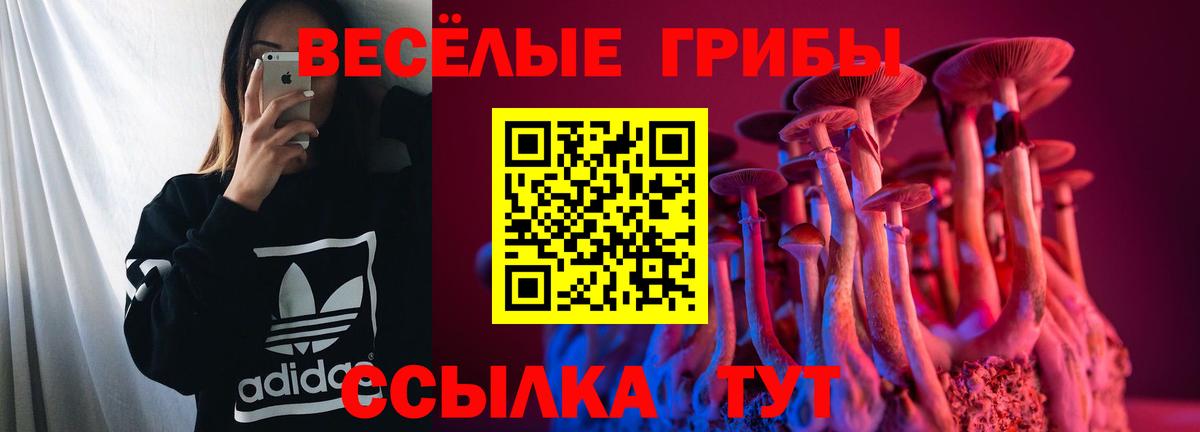 Псилоцибиновые грибы прущие грибы  Вход с VPN  Псилоцибиновые грибы мухоморы  Елец 
