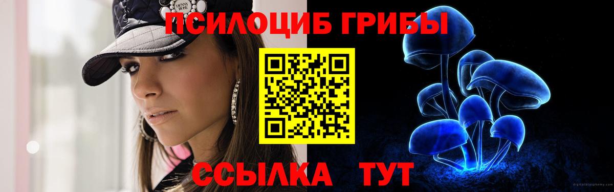 Галлюциногенные грибы Psilocybe Елец